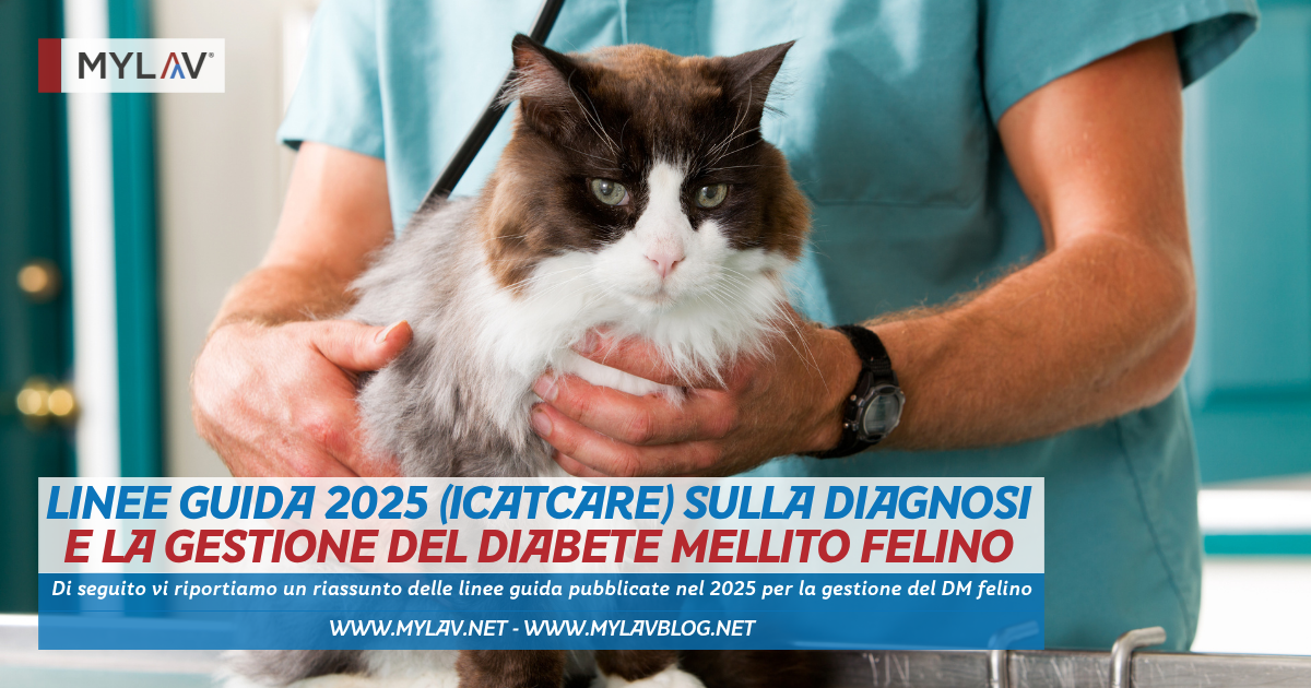 Linee guida 2025 (iCatCare) sulla diagnosi e la gestione del diabete mellito felino