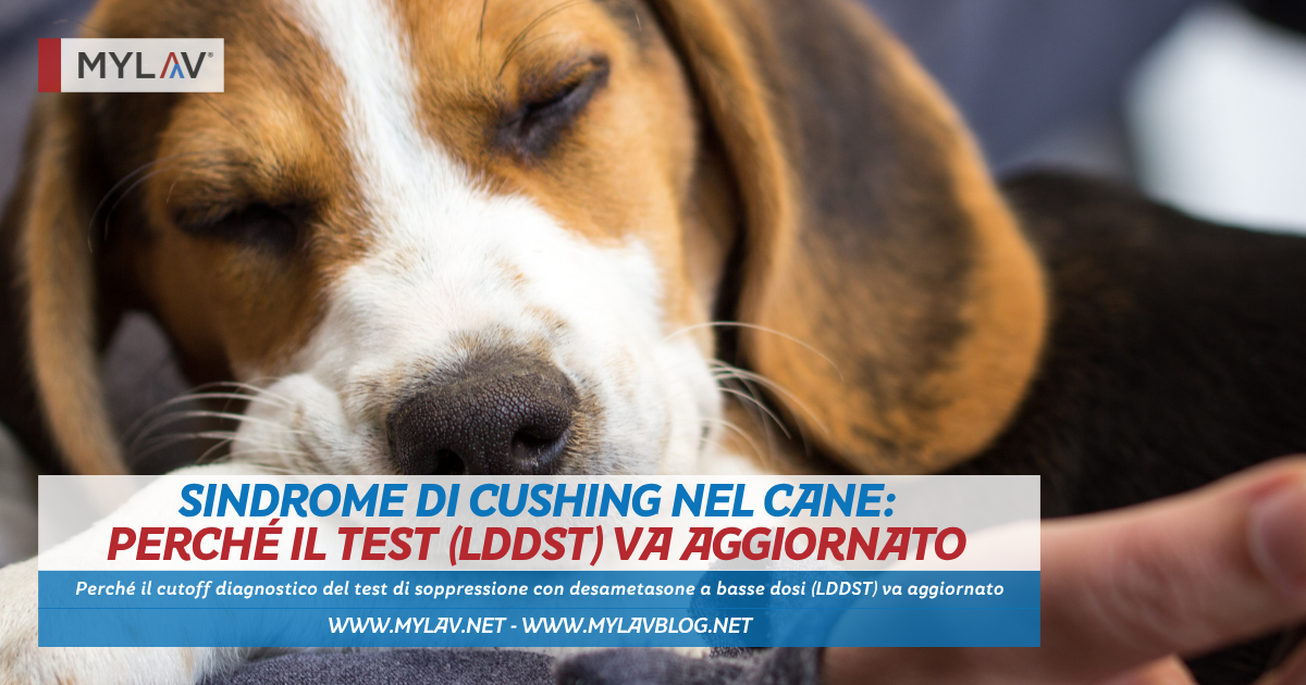 Sindrome di Cushing nel cane: perché il cutoff diagnostico del test di soppressione con desametasone a basse dosi (LDDST) va aggiornato