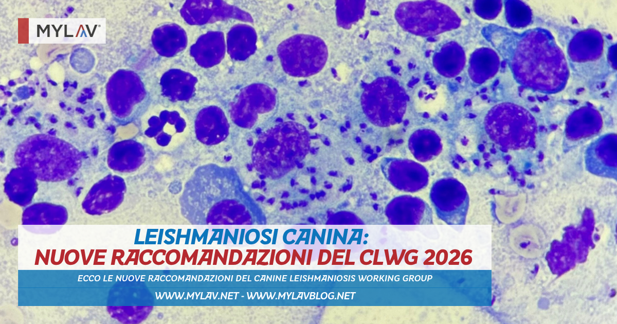 Leishmaniosi canina: nuove raccomandazioni del Canine Leishmaniosis Working Group (CLWG, 2026)