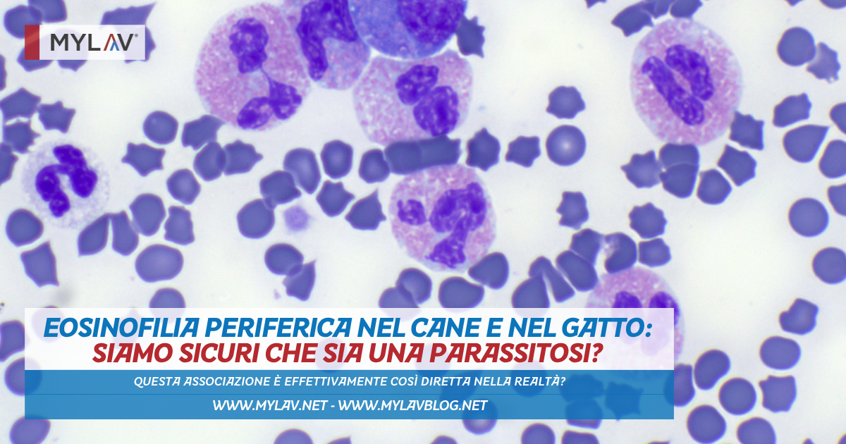 Eosinofilia periferica nel cane e nel gatto: siamo sicuri che sia una parassitosi?