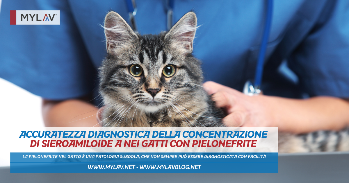 Piodermite canina: linee guida ISCAID