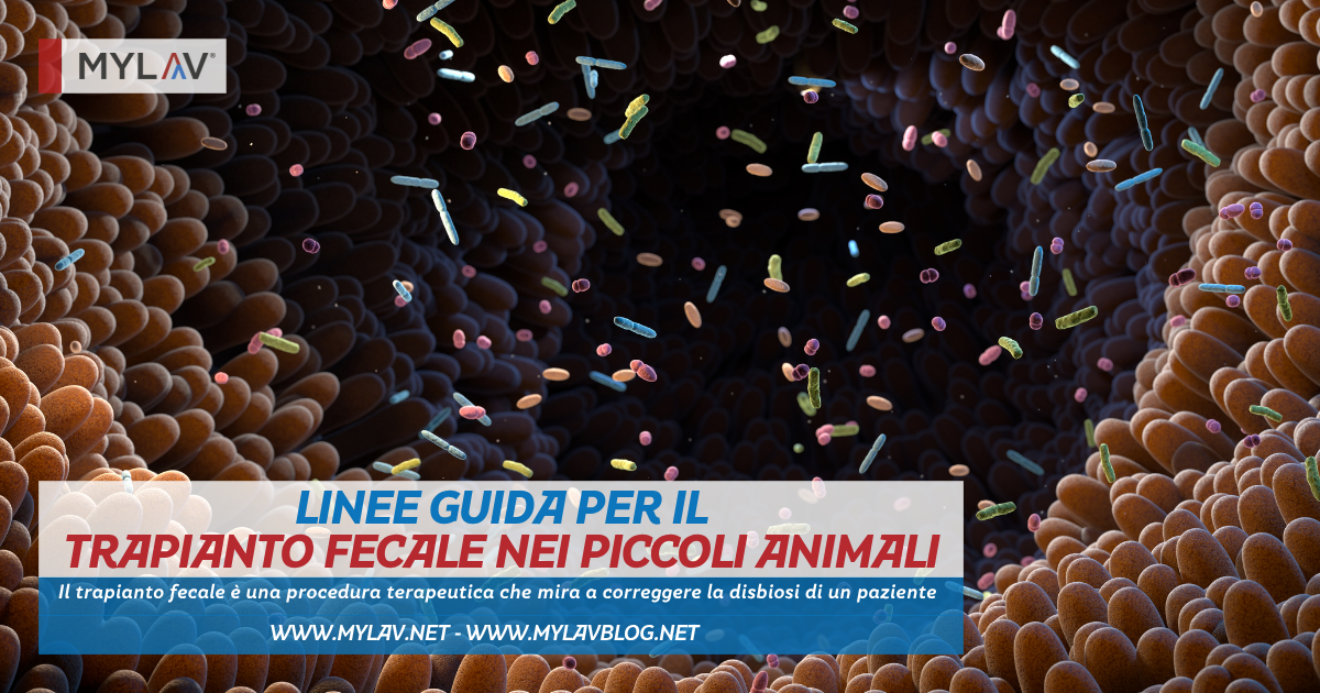 Linee guida per il trapianto fecale nei piccoli animali